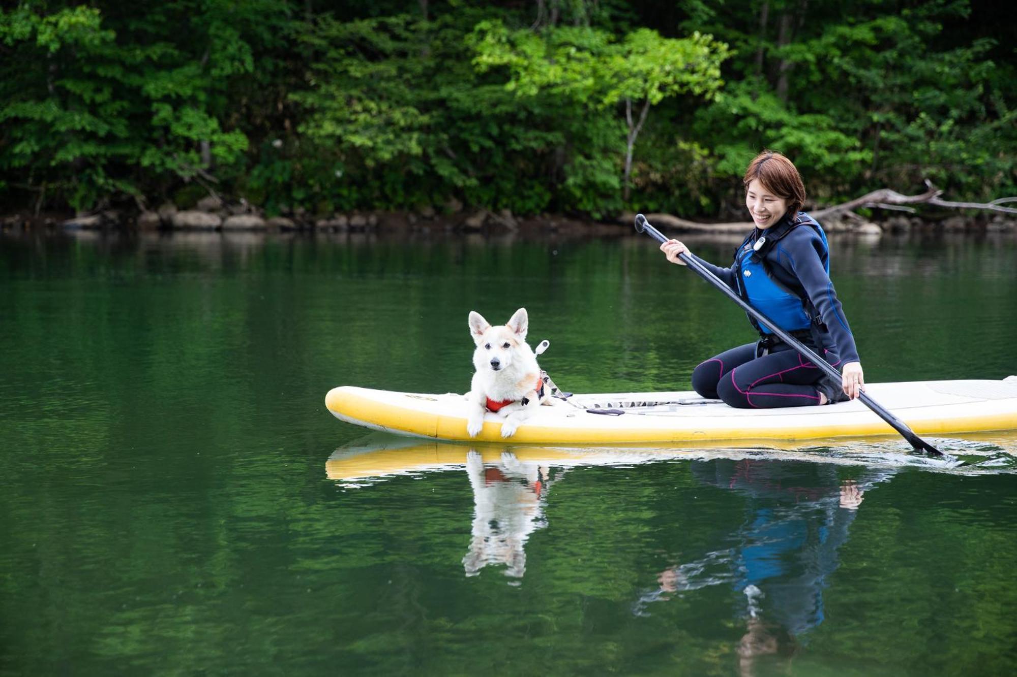 Snowdog Village นิเซโกะ ภายนอก รูปภาพ